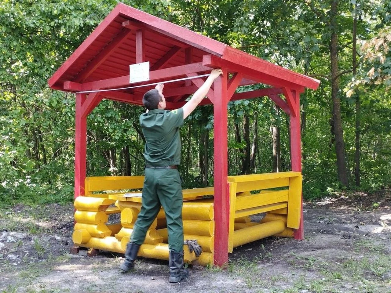 Новые зоны для отдыха в лесу появились в Коломне