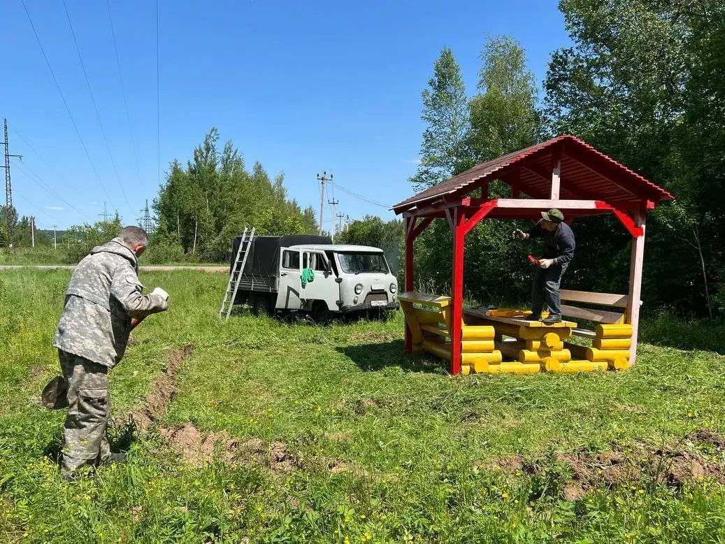 Новые зоны для отдыха в лесу появились в Коломне