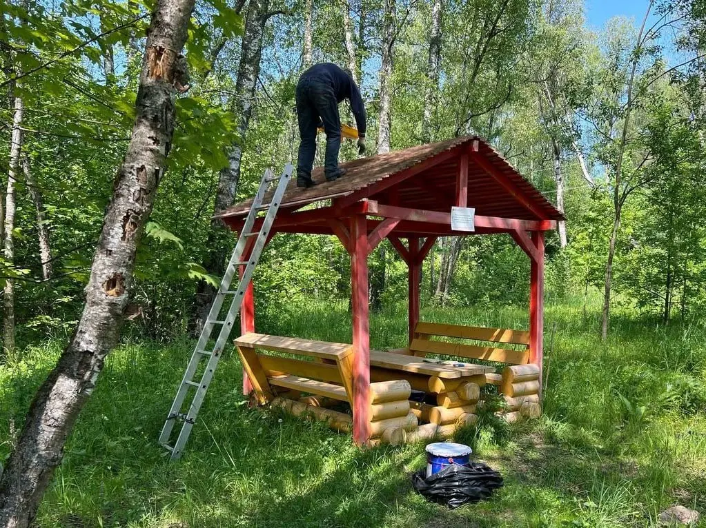 Новые зоны для отдыха в лесу появились в Коломне