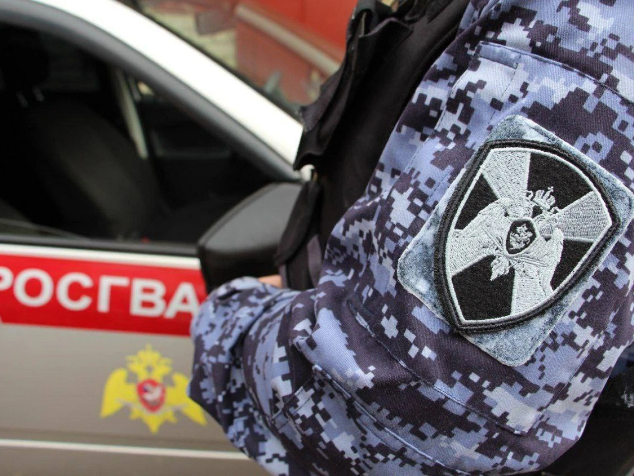 В Коломне задержали вора-рецидивиста
