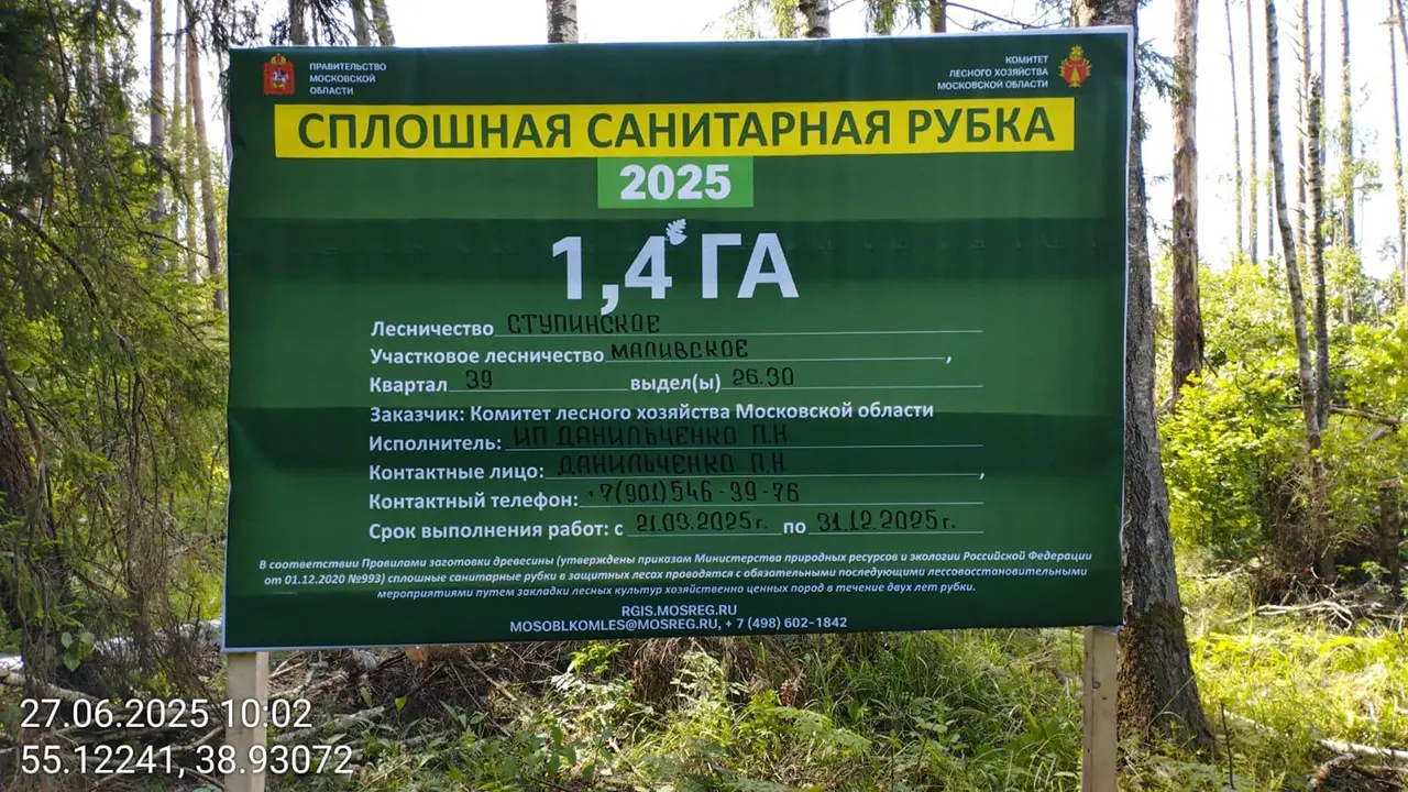 В коломенских лесах проходят санитарные рубки