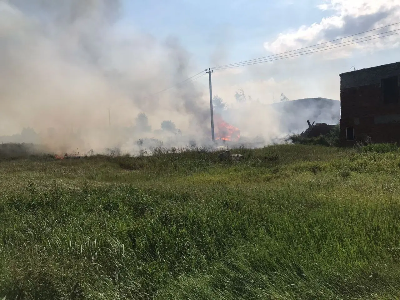 В Луховицах потушили лесной пожар