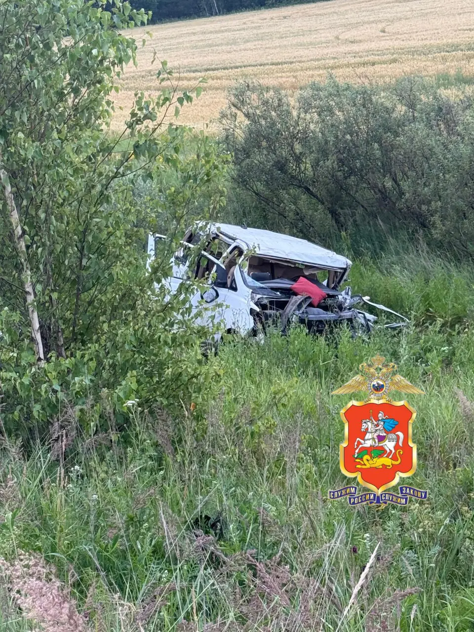 Коломенский СК возбудил дело после смертельного ДТП