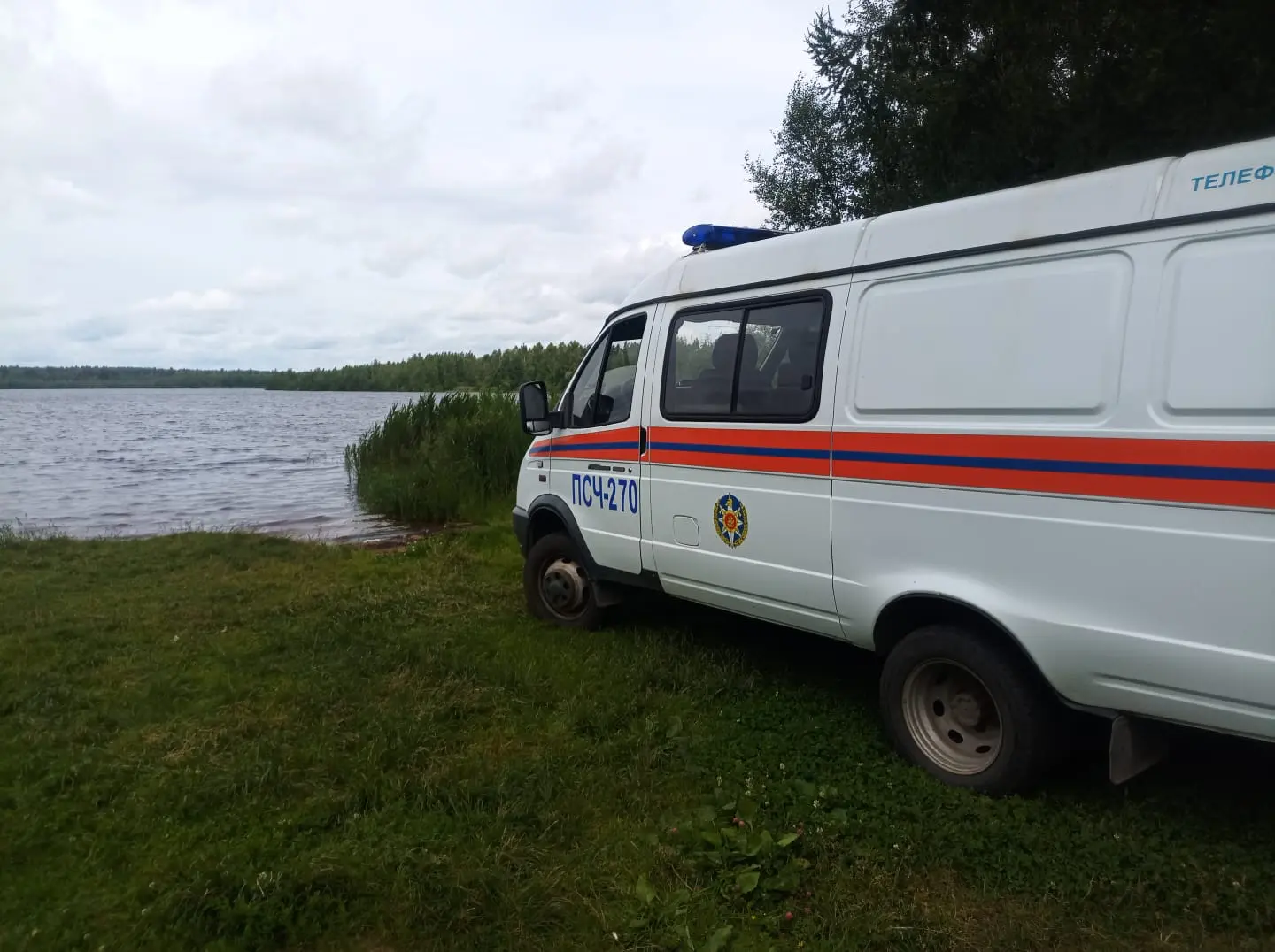 В Коломне три женщины заблудились в лесу