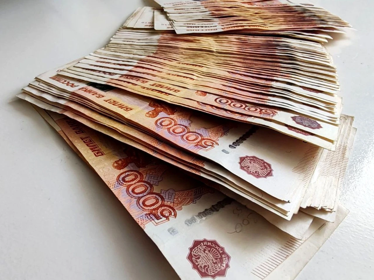 Новую меру поддержки ввели в Подмосковье для участников СВО и их семей
