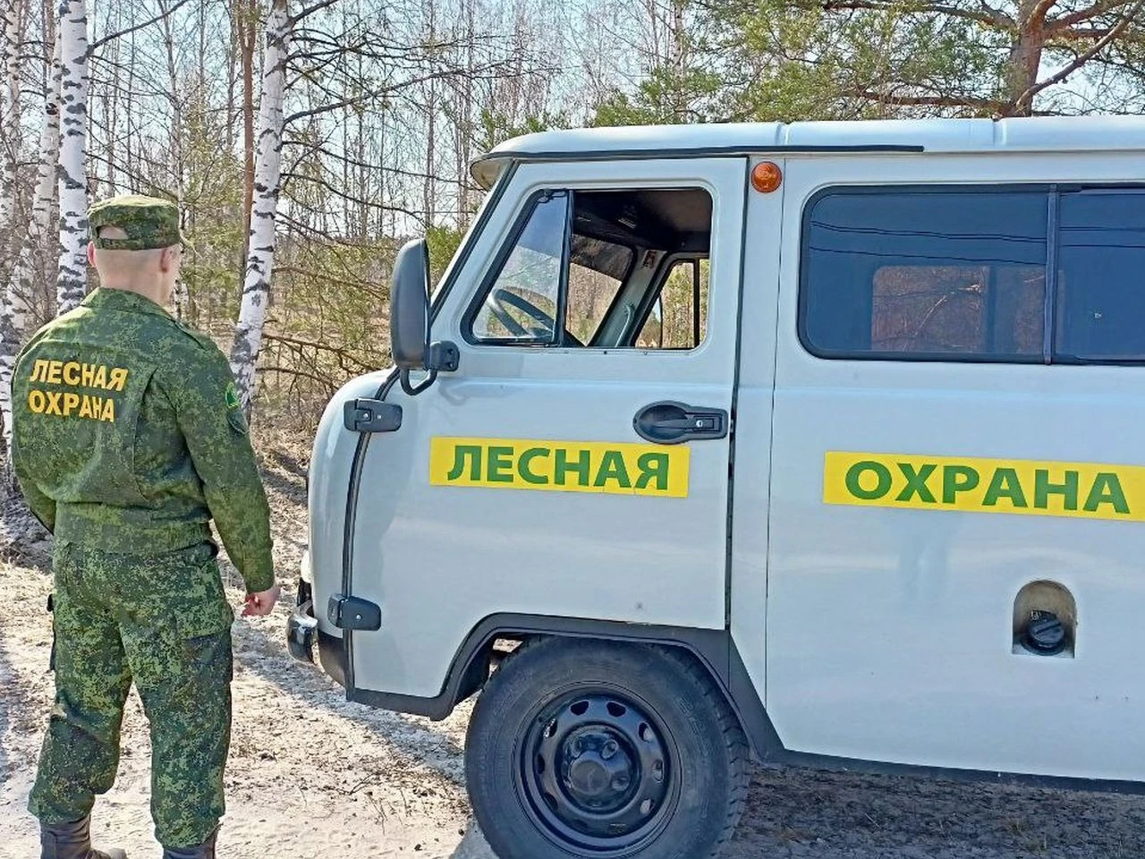 Почти 90 человек заблудились в подмосковных лесах за месяц