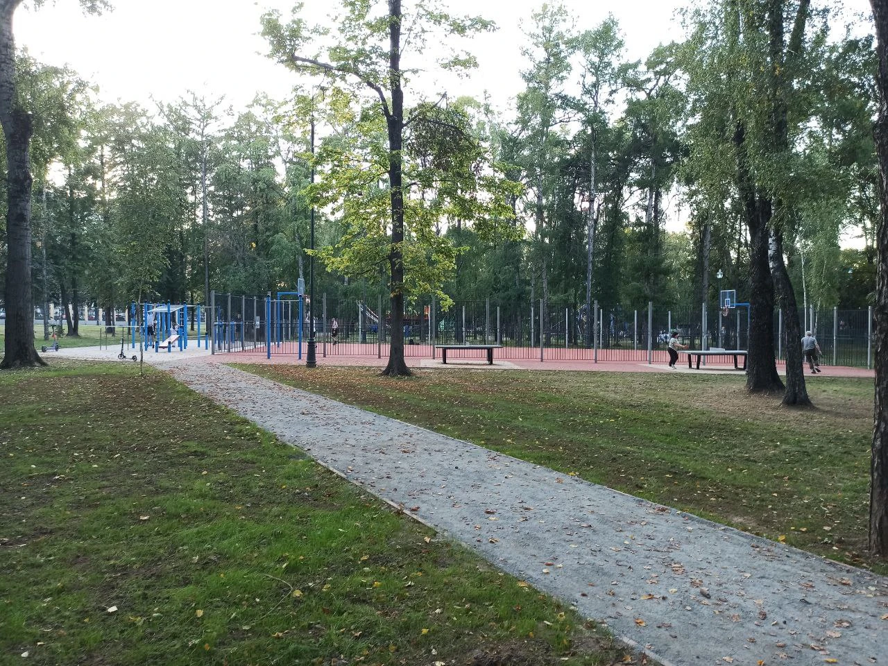 Места массового отдыха в Коломне и Озерах обработают от клещей