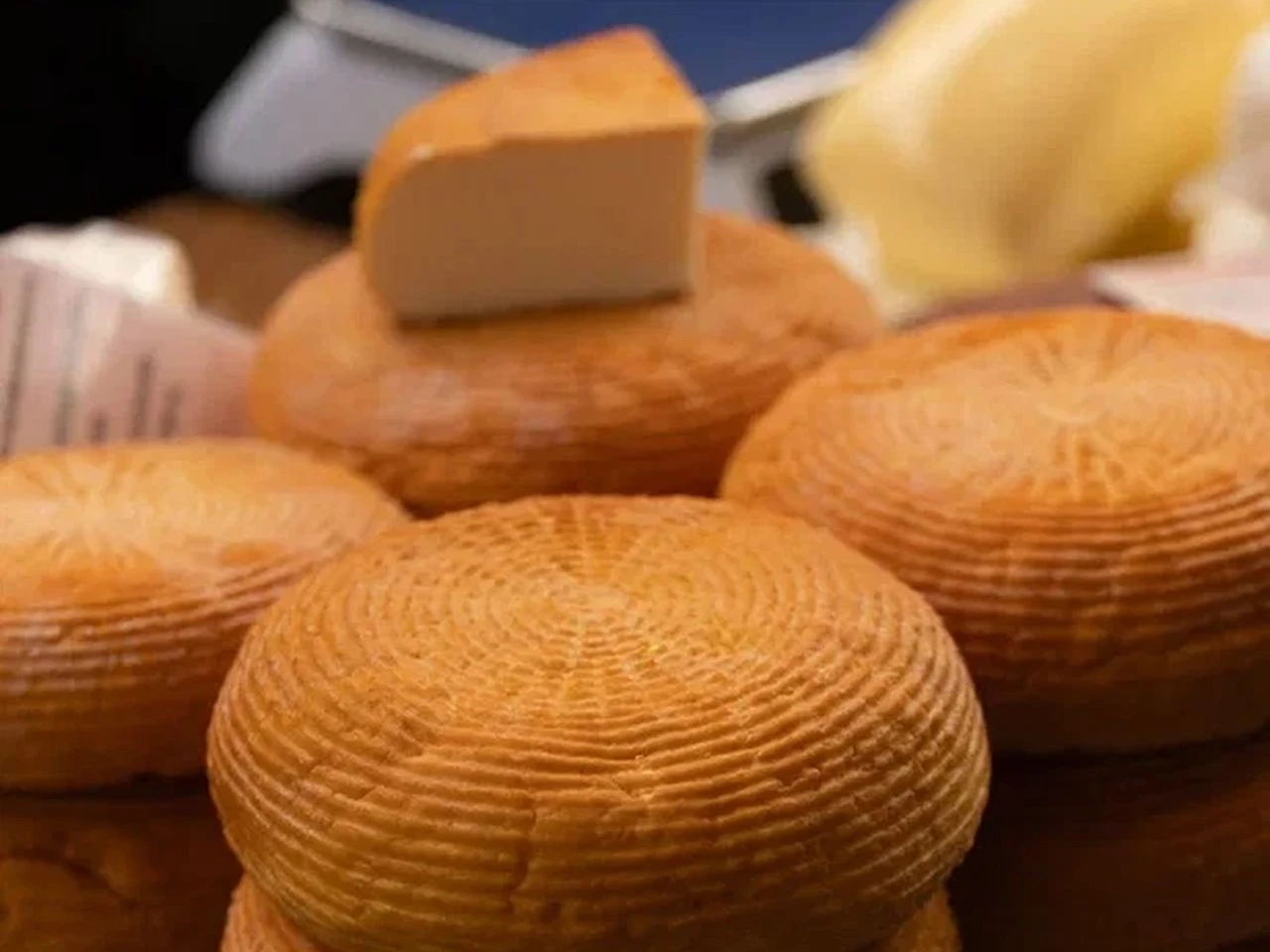 Агротуристический фестиваль состоялся в Коломне