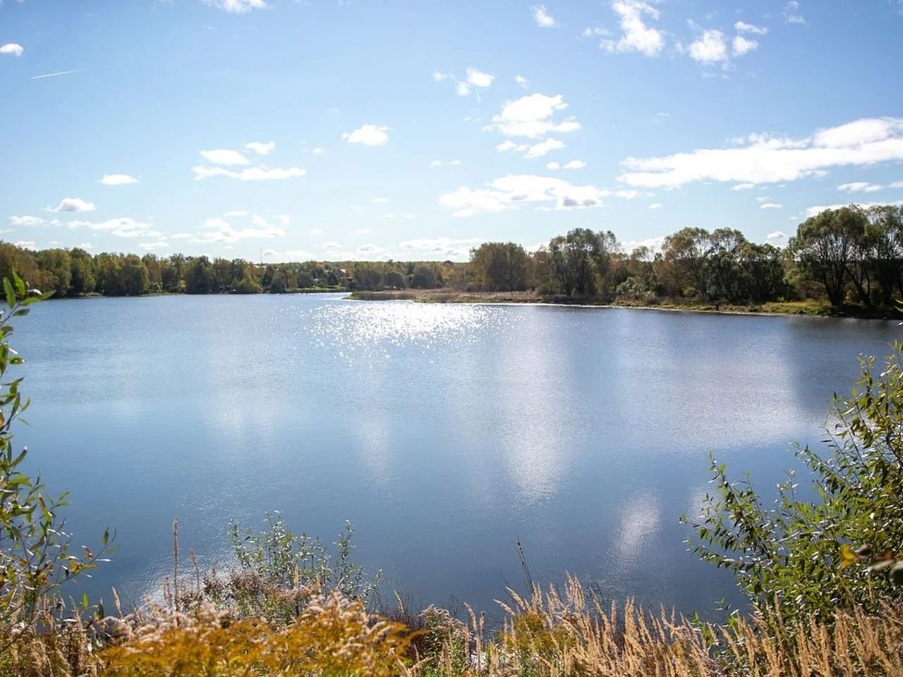 Очистку озера у деревни Липитино завершили