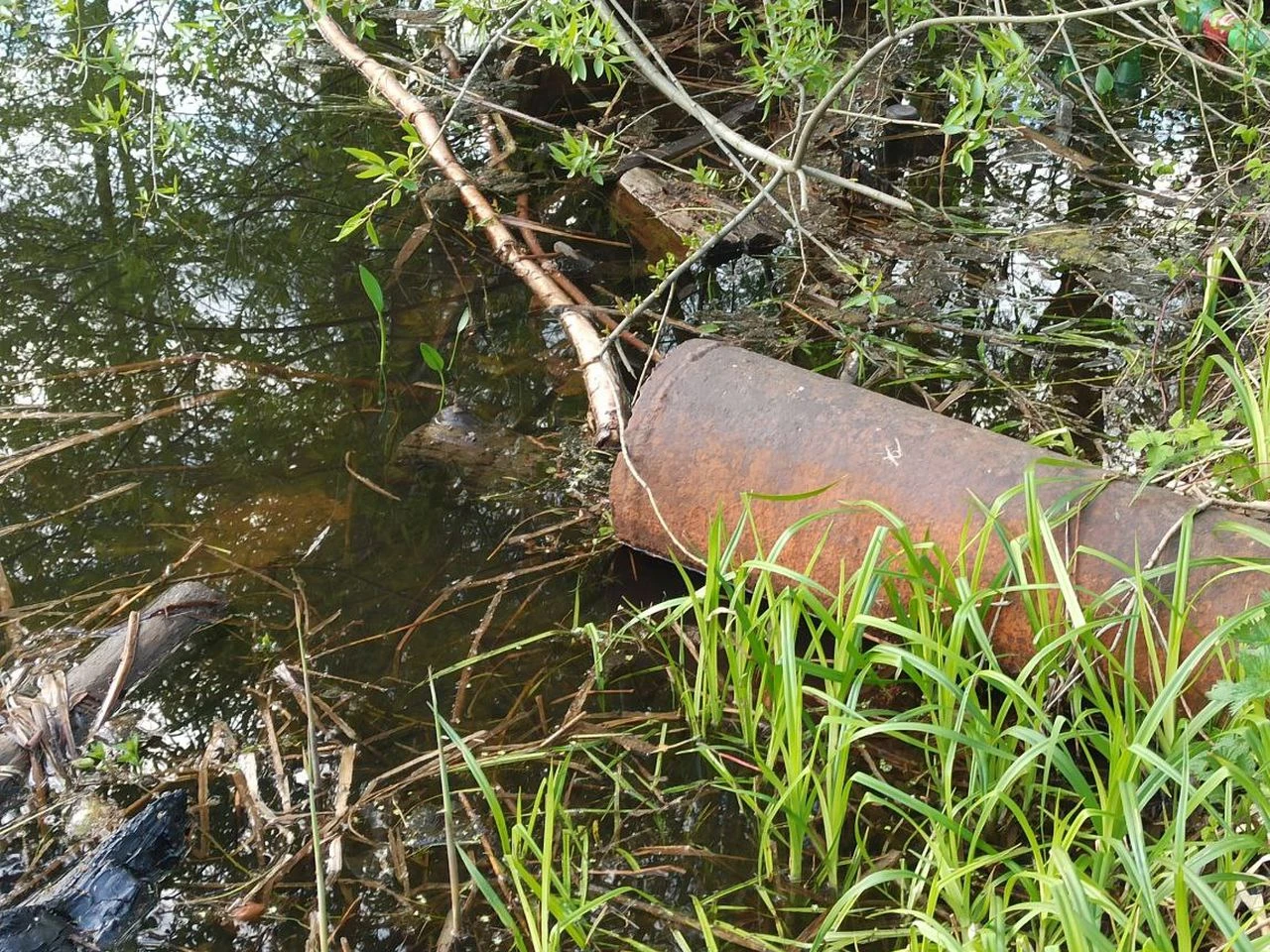 В Коломне предприятие получило предостережение за сброс сточных вод