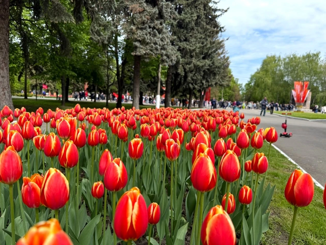 Коломенцев приглашают обсудить обновление Мемориального парка