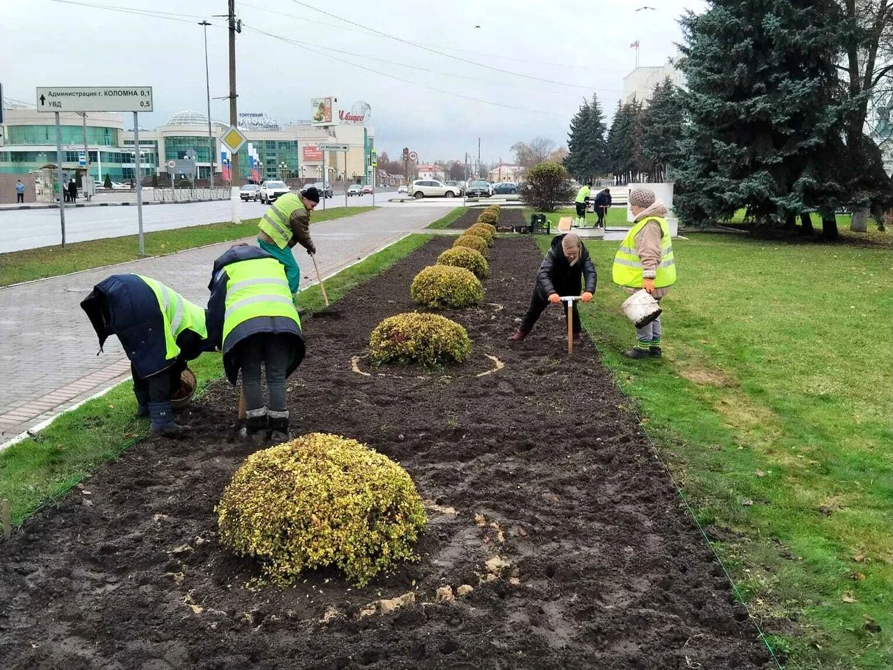 В Коломне началась осенняя посадка тюльпанов