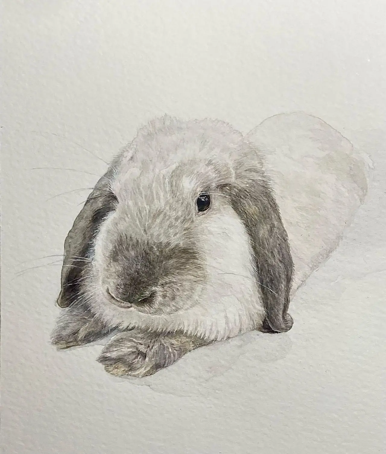 Студентка коломенского вуза одержала две победы во всероссийских конкурсах